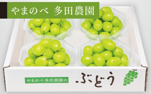 《先行予約》2026年 山形県産 シャインマスカット ダイヤパック 250g×4パック やまのべ多田農園のぶどう F21A-313