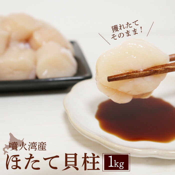 【ふるさと納税】大粒ほたて貝柱 1kg |ホタテ ほたて 帆立 貝柱 ホタテ貝柱 帆立貝柱 冷凍 噴火湾 海鮮 魚介 魚貝 貝 刺身 バター焼き 玉冷 ふるさと納税 北海道 長万部町【06002505】