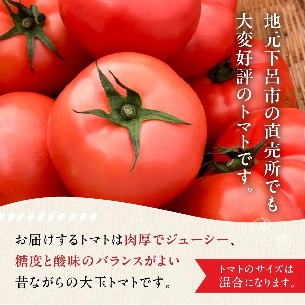 【2026年7月上旬頃から順次発送】 大玉トマト 約 1kg（6～8玉）（サイズ混合）≪谷下農園 有機JAS認証農園の完熟トマト使用≫【61-16】