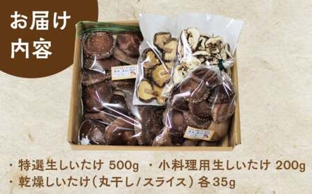 原木しいたけ三昧セット 椎茸 国産 岐阜 白川町 / 清水しいたけ園[AWAY001]