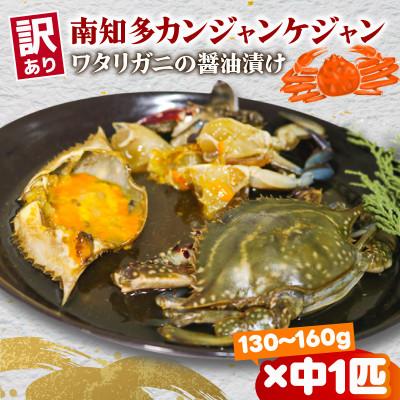 ふるさと納税 南知多町 訳あり　カンジャンケジャン　中サイズ(130g〜160g)×1匹