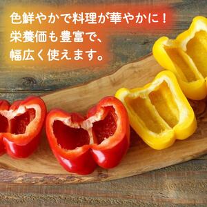 パプリカ 2kg 和 パプリカ 国産 牧之原産 和ぷりか 赤 ＆ 黄色 セット サラダ 野菜 新鮮 やさい パプリカ ぱぷりか パプリカ