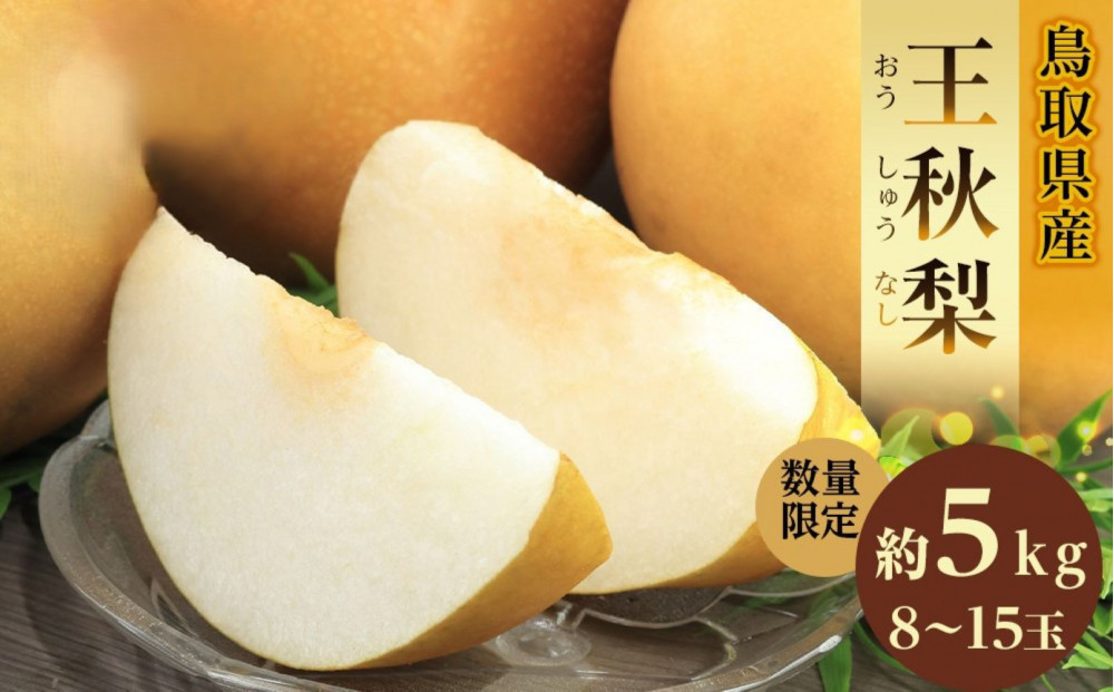 【先行予約】ギフト用 数量限定 鳥取県産”王秋梨（おうしゅうなし）” 約5kg （8～15玉）≪2026年11月中旬頃出荷≫
