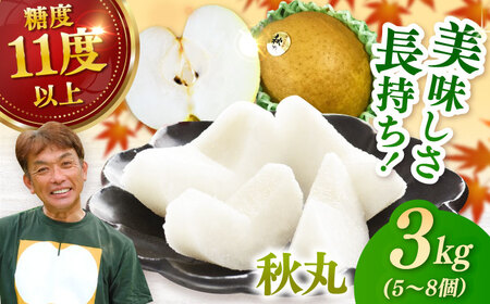 【ふるなびWEEK対象】【化粧箱入り】秋丸（王秋）5-8個入（約3kg） / 梨 梨 梨 梨 梨 梨 梨 / 佐賀県 / 大川三世代 [41AEAB011]