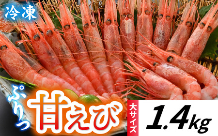 甘えび (大サイズ) 約1,400g 天然・鮮度抜群！【発泡箱】 船内冷凍 64尾 / 甘エビ 海老 えび エビ 冷凍 アマエビ あまえび 甘海老 刺身 産地直送 国産 人気 魚介 海の幸 海鮮