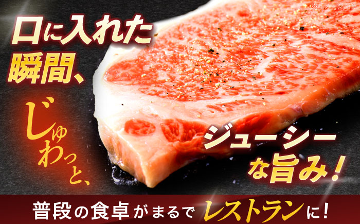 【4回定期便】長崎和牛サーロインステーキ 約500g(250g×2枚)【株式会社 黒牛】 [OCE046] / 長崎県産和牛 牛肉 サーロインステーキ 国産牛 牛肉 サーロインステーキ 牛 肉 サーロ