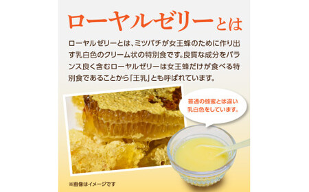 ローヤルゼリー入りはちみつ 240ｇ 183-007 