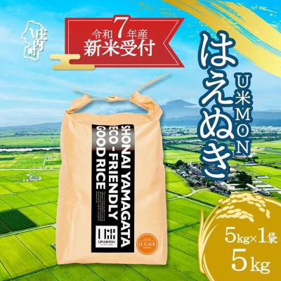 ふるさと納税 庄内町 【新米受付 10月発送】U米MON はえぬき 5kg(入金期限:2025.9.15)