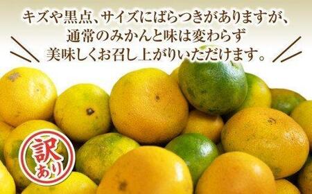 極早生 由良 みかん 2.5kg 産地直送 柑橘 みかん 訳あり フルーツ 果物 蜜柑 オレンジ ご家庭用 ( みかん みかん みかん みかん みかん みかん みかん みかん みかん みかん みかん 