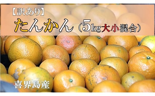 【2026年２月頃発送】【訳あり】たんかん(5Kg大小混合)高岡果樹園直送