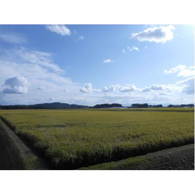 ふるさと納税 花巻市 岩手花巻産「健土健米」ひとめぼれ　精米5kg |  | 01