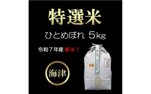 
                  【期間限定】新米！特選米ひとめぼれ（5kg） お米 5kg 
                