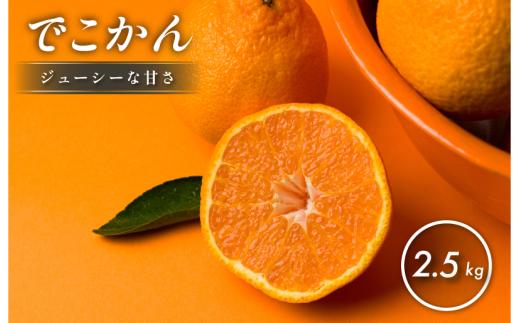 【先行予約】【数量限定】ホリ田ヤ でこかん 2.5kg【K002430】