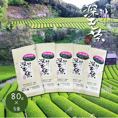 【ふるさと納税】【令和7年産新茶発送】特別栽培-掛川深蒸し茶　80g×5袋セット【配送不可地域：離島・沖縄県】【1600000】
