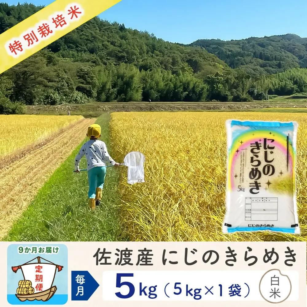 【定期便 9回】お米 5kg 白米 | 新潟県 佐渡市 にじのきらめき 195962-3613