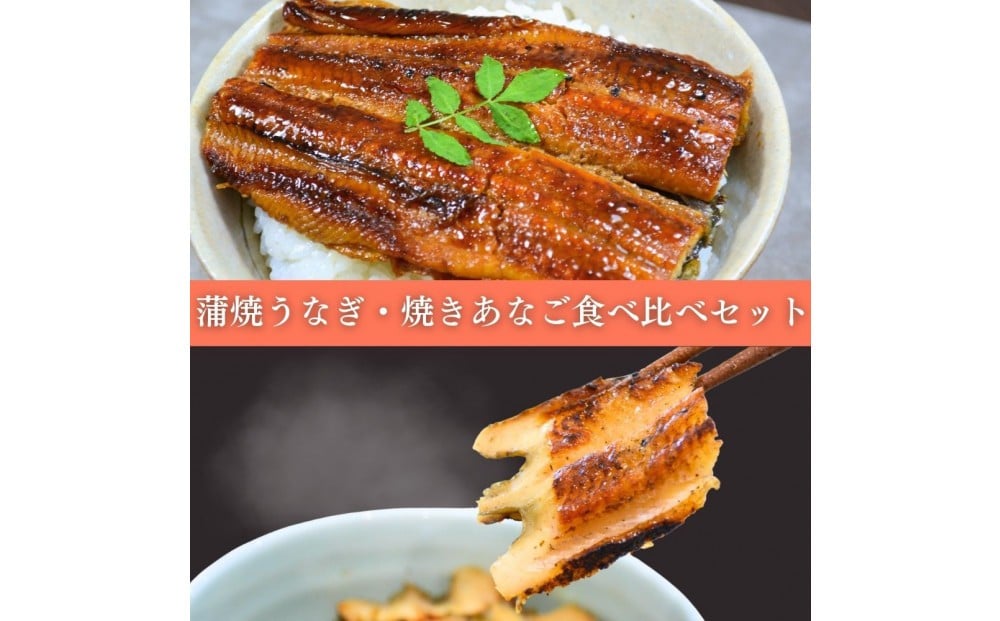 
            焼きあなご1串・蒲焼きうなぎ2尾食べ比べセット
          