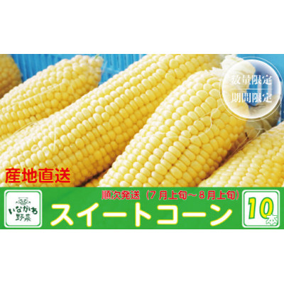 
                  ＜産地直送＞猪名川町産スイートコーン　10本(約3～4kg)【1497773】
                