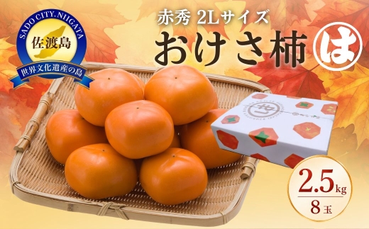 【先行予約 2026年10月中旬より順次発送】佐渡産おけさ柿 赤秀2Lサイズ8玉 種なし マルハおけさ柿 | 新潟県産柿 新潟産柿 佐渡産柿 佐渡島産かき 新潟県産かき たねなし柿 種無し柿 おけさ柿 柿 かき カキ フルーツ 果物 くだもの 秋の味覚 にいがた さど 新潟県 佐渡市