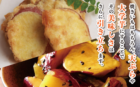 千葉県神崎町 JAかとり産 さつまいも 紅あずま Mサイズ20本入り ほくほく香ばしい 定番の味 焼き芋・干し芋に べにあずま ベニアズマ  [001-a003]【千葉県神崎町ふるさと納税】【焼き芋 