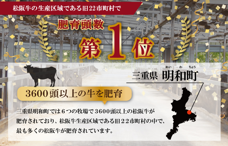 F4松阪牛焼肉（特選ロース）500g