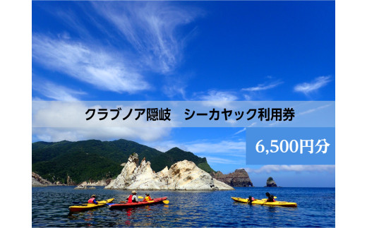 【ふるさと納税】 西ノ島の絶景を独り占め！ シーカヤックで巡る大自然の冒険へ　夏休み・遊び・絶景・レジャー・体験・マリンスポーツ・スポーツ・観光 シーカヤック体験利用券6,500円分 パドル 体感 体験 初心者 アクティビティ 探索 冒険 大自然 海 海の恵み