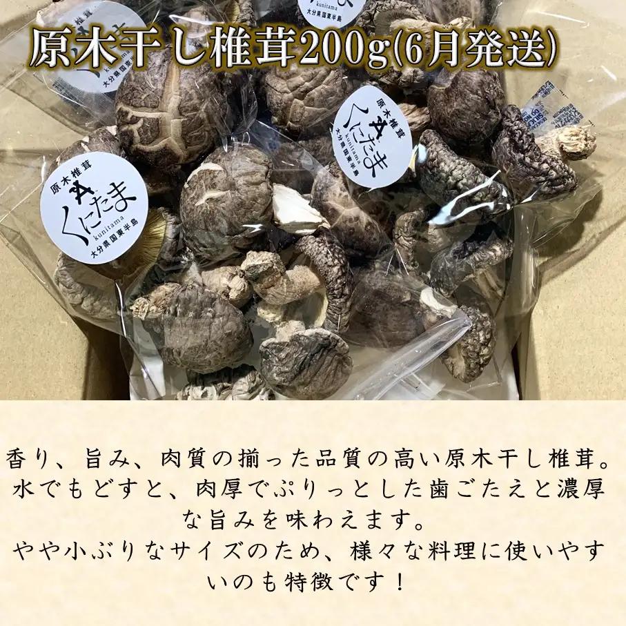【先行予約】原木生椎茸と干し椎茸の定期便 計2回発送 しいたけ シイタケ 国産 大分県_2768R-1