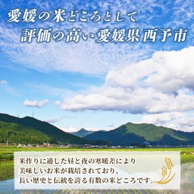 ふるさと納税 西予市 <令和7年産 お米 3種 約6kg(各2kg)>宇都宮米穀 コシヒカリ、にじのきらめき、ヒノヒカリ |  | 01