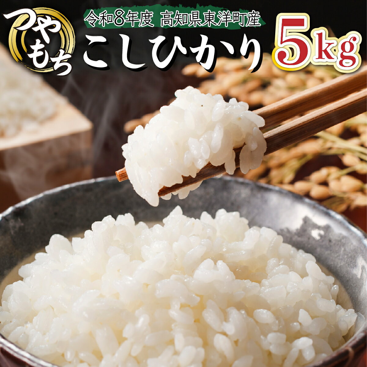 【ふるさと納税】＜2026年8月発送＞令和8年産コシヒカリ5kg【S137】東洋町産 国産 米 白米 精米 コメ こめ もっちり 四国 お取り寄せ 家庭用 自宅用 贈り物 ギフト送料無料