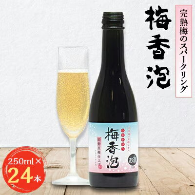 【ふるさと納税】《完熟梅のスパークリング》 梅香泡 (うめかほう) 24本入