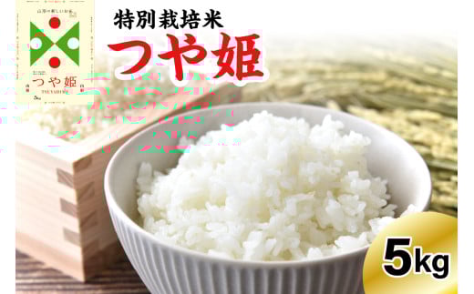 《先行予約》 ※2026年2月発送分※ 【令和7年産】 特別栽培米 つや姫  5kg 〔精米〕