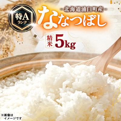 ふるさと納税 浦臼町 【先行予約 令和8年産】浦臼町産　ななつぼし(精米)5kg　特A