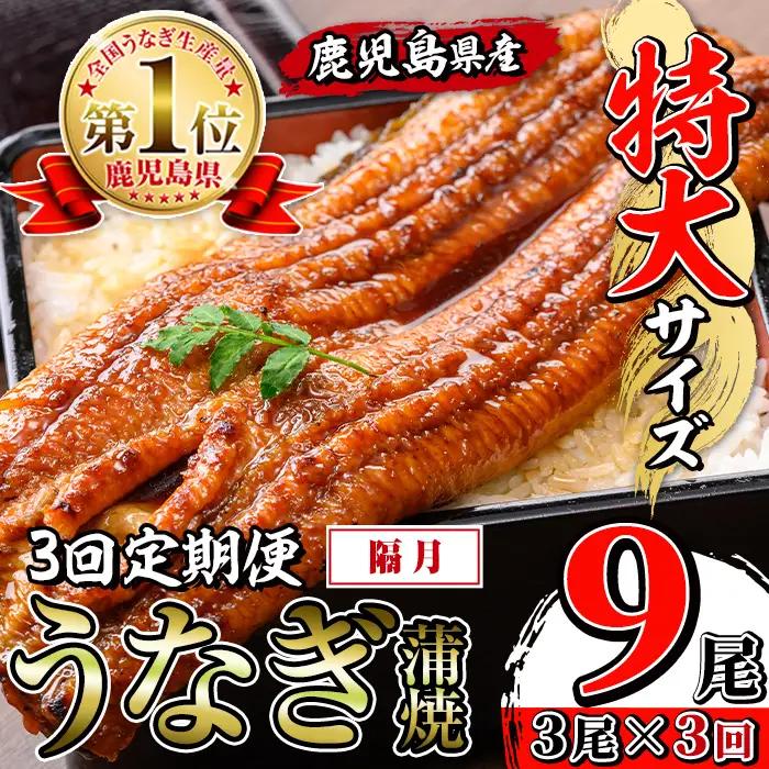 【3回定期便(隔月)】鹿児島県産 うなぎ蒲焼 特大 サイズ 3尾セット＜（約220g×3・計約660g）×全3回＞【薩摩川内鰻】 i1174-B