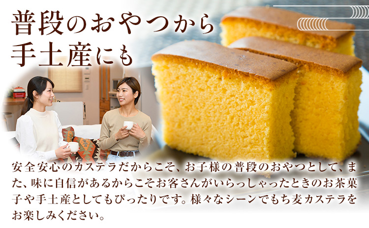 もち麦カステラ 2本 株式会社玉利軒《30日以内に出荷予定(土日祝除く)》岡山県 笠岡市 カステラ もち麦 お土産 和菓子 手土産 送料無料 冷蔵配送---T-09_cool---
