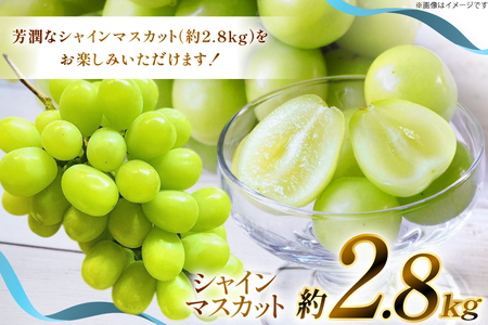 【期間限定発送】 シャインマスカット 約 2.8kg [もん前の里 山形県 高畠町 tk06ays960005] フルーツ 果物 くだもの ぶどう ブドウ 葡萄 2.8キロ 甘い