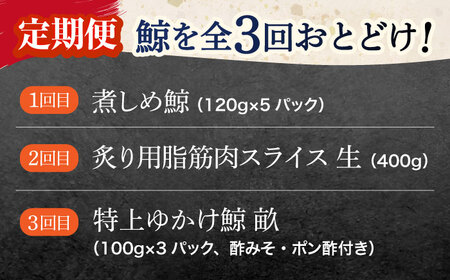 【3回定期便】調理用部位定期便（煮しめ鯨・炙り用脂筋肉スライス・特上ゆかけ鯨（畝））[OBR018]