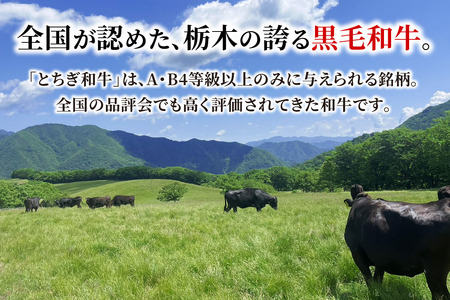 日光和牛 肩ロース しゃぶしゃぶ・すき焼き用スライス 300g 日光産とちぎ和牛 [0835]