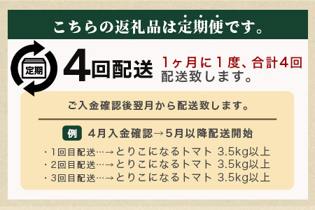 【先行予約】 たにぐちファーム とりこになるトマト 【3.5kg以上×4回定期便】【2024年12月から出荷】Ricotomato とりこになる トマト [定期便 野菜定期便 定期 野菜 トマト 新鮮