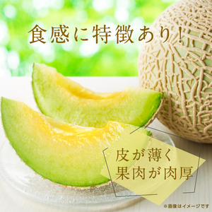 【良品】イバラキング（青肉メロン） 2玉入 青肉品種 青肉メロン！ ／ イバラキング 果物 フルーツ 訳あり 農家直送 ths007_X1