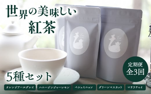 【全3回定期便】世界の美味しい紅茶５種セット  紅茶 紅茶専門店 紅茶詰め合わせ 紅茶セット ティータイム ティーバッグ【010-03-T2】