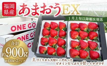 ギフト配送 福岡県産あまおう EX 約450g×2パック 〈特別栽培〉いちご イチゴ 苺 くだもの 果物 フルーツ 冷蔵 福岡県 【2026年1月上旬～3月下旬発送予定】