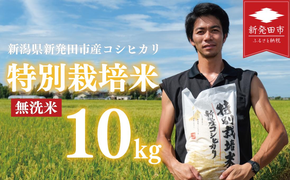 先行予約 コシヒカリ 無洗米 10kg 令和7年産 特別栽培米 こしひかり 米 お米 こめ 新潟米 新潟県産 新潟産 新潟 新潟県 新発田産 新発田 新発田市 斗伸 toushin011_03