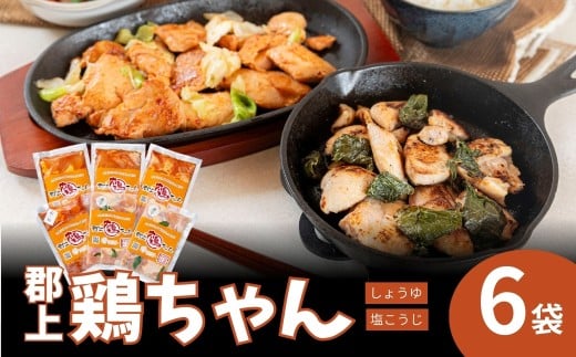 【年内発送】郡上鶏ちゃん6個セット 味付け肉 もも 胸 皮 肝 醤油 塩麹 食品 精肉 肉加工品 鶏肉 セット 詰め合わせ 15000円 年内配送 年内お届け