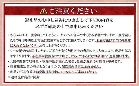 【先行予約】近澤果樹園 小分けで食べやすい「佐藤錦」L~2Lサイズ バラ詰め800g（200g×4パック）（2025年7月上旬より発送予定）| さくらんぼ さくらんぼ さくらんぼ さくらんぼ さくらん