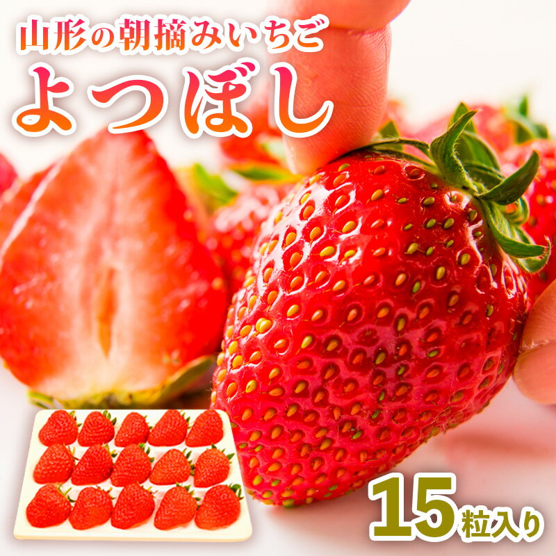 【ふるさと納税】山形の朝摘みいちご よつぼし (15粒入り) FY25-029