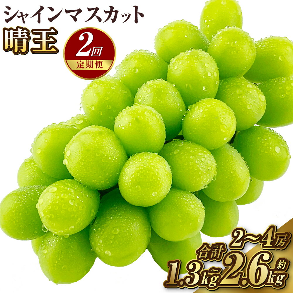 【ふるさと納税】【2回定期便】シャインマスカット晴王 1房～2房 約650g～約1.3kg ＜選べる容量＞2026年 先行予約受付中 岡山県産 種無し 皮ごと食べる 瀬戸内 晴れの国 おかやま 果物大国 ハレノフルーツ 【2026年9月上旬より発送開始】