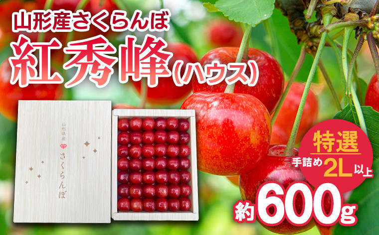 
            さくらんぼ 紅秀峰(ハウス)特選 手詰め 2L以上 約600g 【令和7年産先行予約】FS24-626くだもの 果物 フルーツ 山形 山形県 山形市 2025年産
          