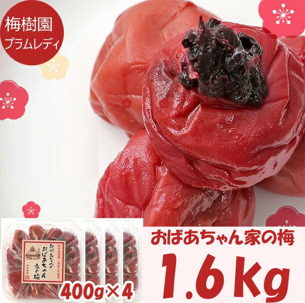 【ふるさと納税】紀州みなべのおばあちゃん家の梅 家庭用 / しそ梅 しそ漬け梅 紫蘇梅 昔ながら しょっぱい すっぱい 塩分約20％ 小分け 贈答 贈り物 プレゼント 家庭用 普段使い 大容量 おにぎり お弁当