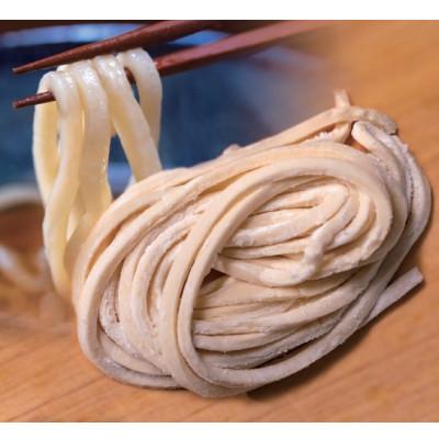 ふるさと納税 与謝野町 へじや製麺のうどん生麺10食セット 細麺タイプ　ぶっかけ(冷)用特製だしつゆ付