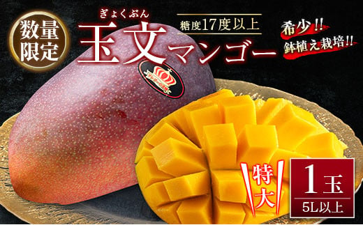 
数量限定 超希少 玉文マンゴー 鉢植え栽培 5L以上×1玉 フルーツ 果物 国産 食品 デザート マンゴー 産地直送 送料無料_EC8-23
