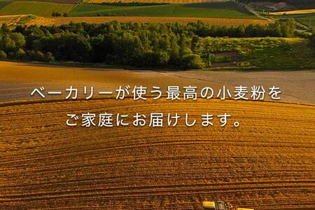【ふるなび限定】 北海道産 「春よ恋」「ゆめちから」ブレンド小麦粉 パウダースノー（パン用強力粉）7.5kg 【 ふるさと納税 人気 おすすめ ランキング 小麦 小麦粉 粉 春よ恋 ゆめちから ブレン